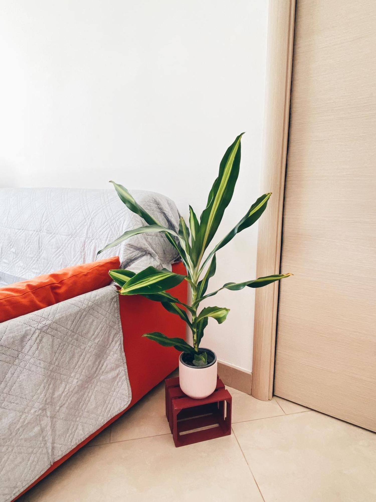Apartment In Siena With Private Parking Exterior photo